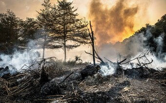 Оценка ущерба после стихийного бедствия в Сургуте: отчет оценщика